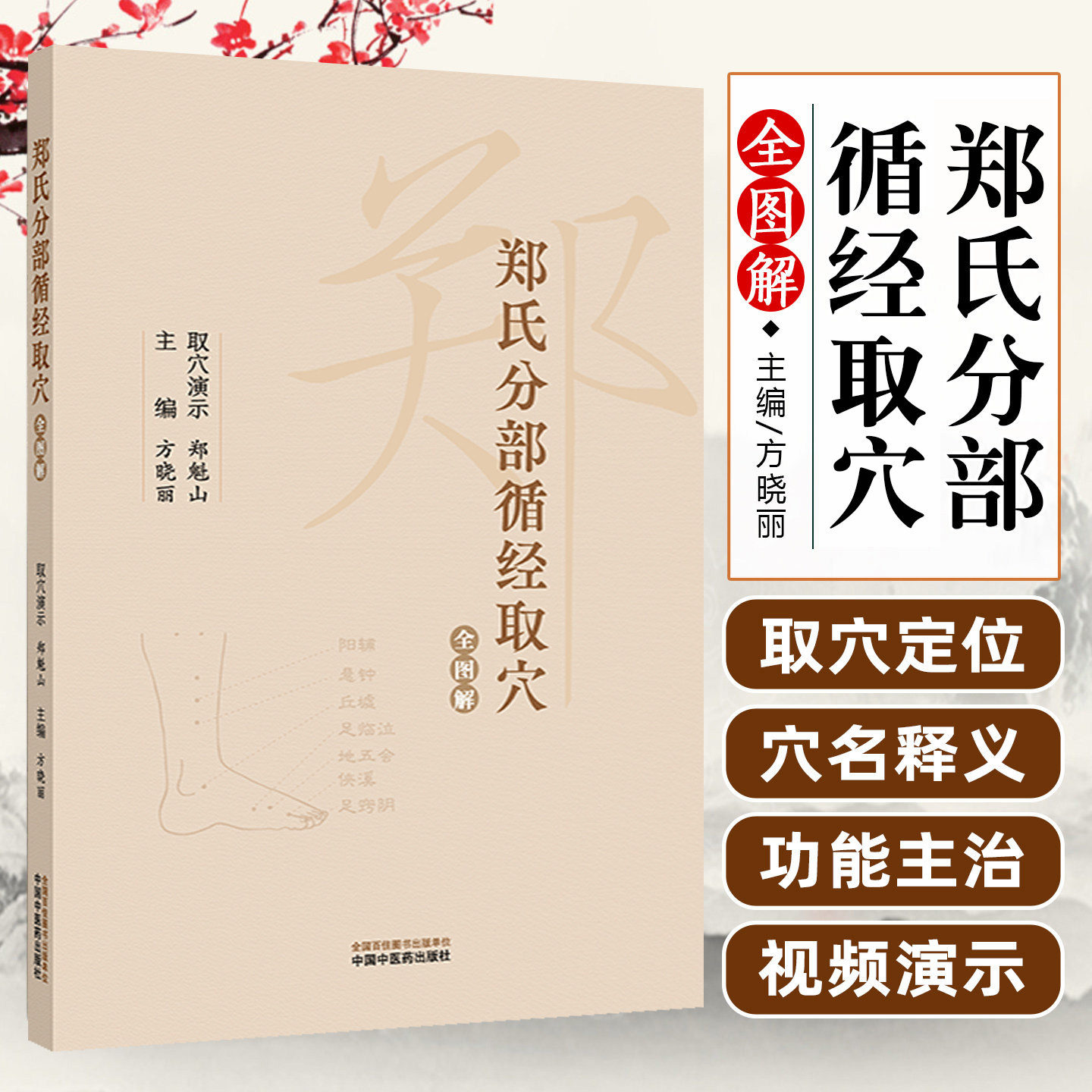 郑氏分部循经取穴全图解 附赠传统针灸取穴法视频 方晓丽 主编 针灸学经络腧穴学循经取穴书籍 9787513288637 中国中医药出版社