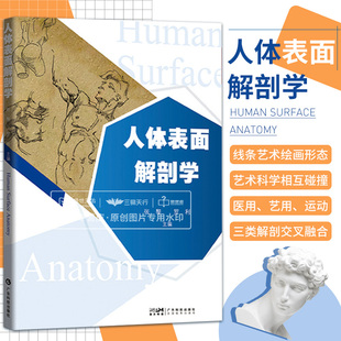 人体表面解剖学 张黎 罗利实用医学艺术结构运动体育解剖功能系统列车奈特绘画形态艺用笔记3d解刨断层基础彩色图谱全书彩色学体表
