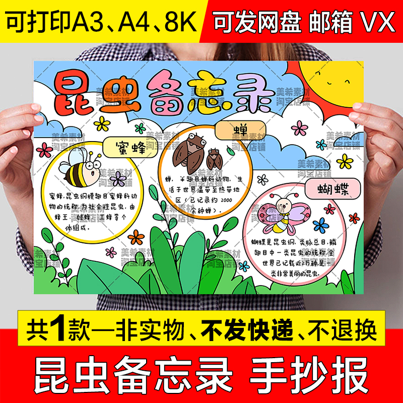 昆虫备忘录手抄报模版小学生昆虫记录表电子版小报a4线稿a3模板8k