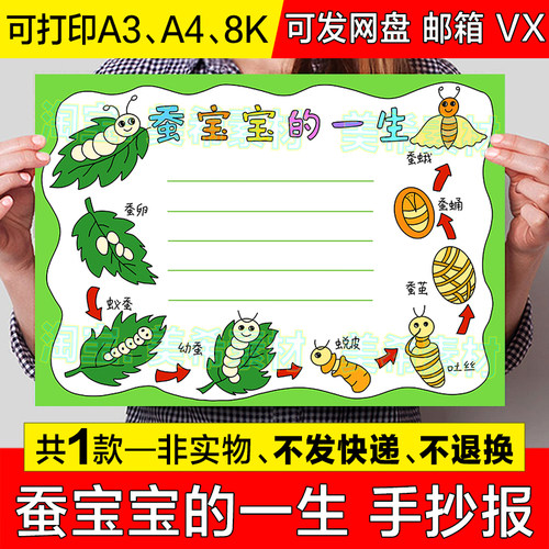 蚕宝宝的一生手抄报模板电子版蚕的生长变化昆虫观察记录日记绘画