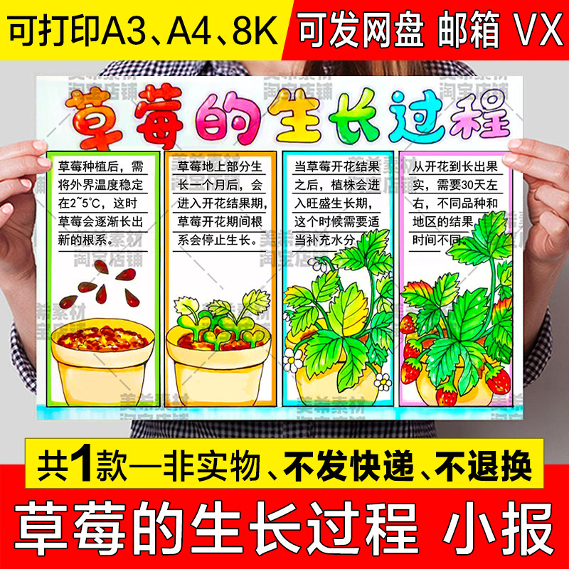 草莓生长日记儿童绘画手抄报模板植物生长观察记录记自然日记小报