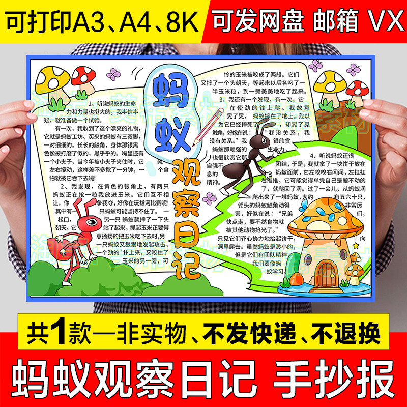 蚂蚁观察日记手抄报模板电子版小学生观察动物生活生长习性小报a4
