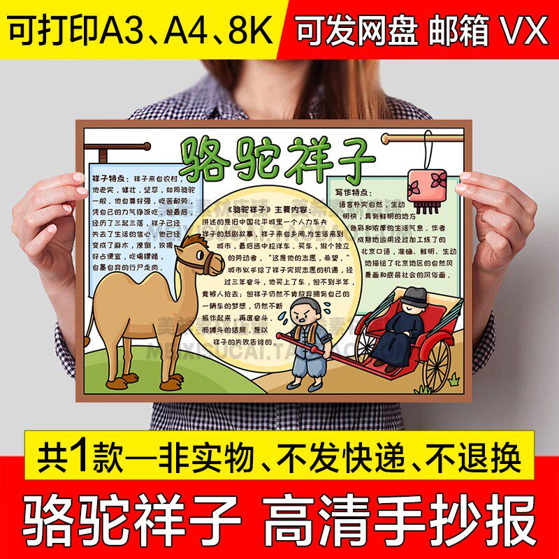 骆驼祥子读后感手抄报小学生好书推荐电子小报a4线稿a3模板8k素材