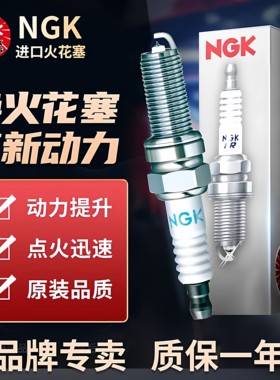 NGK火花塞缤智XRV新飞度锋范哥瑞竞瑞凌派享域1.5 93338