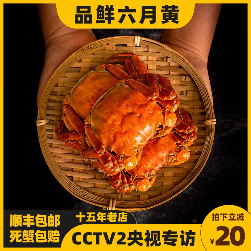 现货六月黄大闸蟹2.5两十只