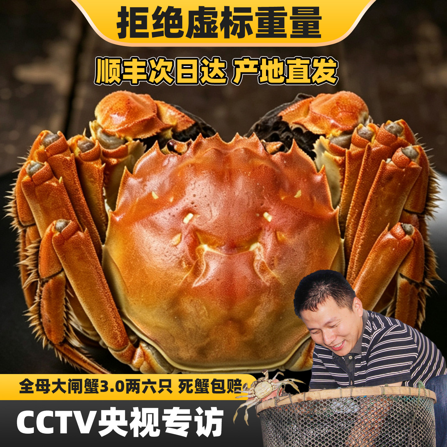 [活蟹]蟹王岛大闸蟹全母蟹3.0两6只鲜活河蟹特大螃蟹小蟹农送领导