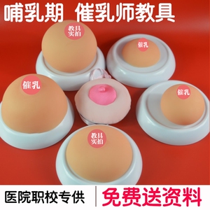 催乳师培训练习乳房模型母乳喂养教具球形硅胶大号逼真假胸月嫂