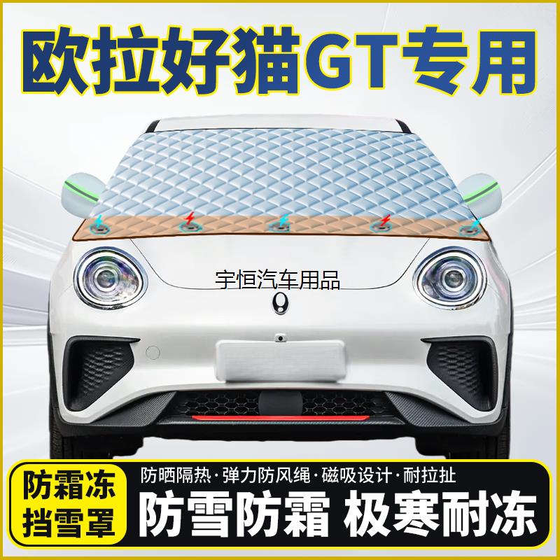 欧拉好猫GT专用遮雪挡挡
