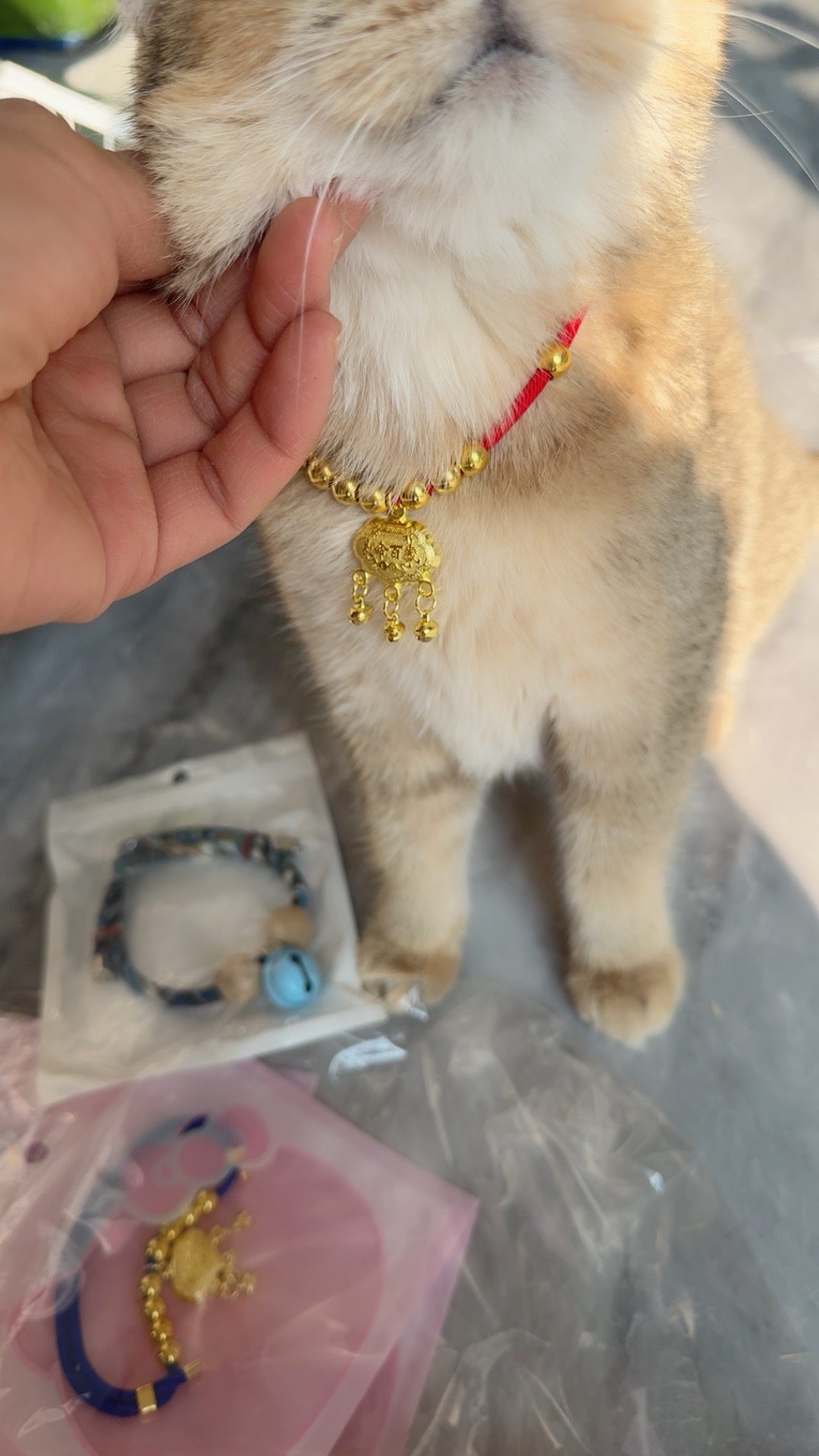 宠物驱虫项圈可以调节除跳蚤防虱子脖圈小狗小猫铃铛项圈