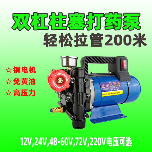 农用电瓶车打药泵喷雾器12V手提