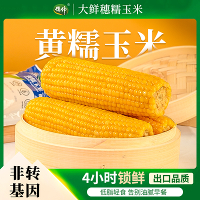 德伟食品东北黄糯玉米新鲜甜糯玉米棒香甜玉米大棒整支一箱