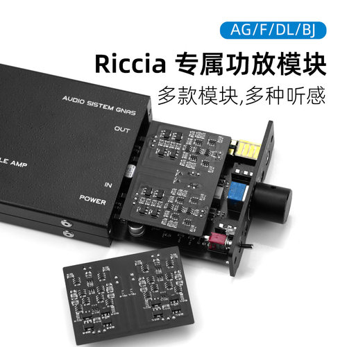 E-earphoneLaboRiccia耳放模块