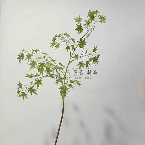 仿真绿枫叶红枫叶树枝