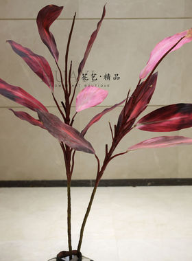 彩叶植物仿真绿植水蕉株蕉拍照道具紫竹叶鸿运竹装饰片巴西木铁叶