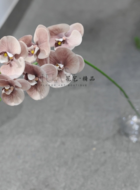 仿真蝴蝶兰家居装饰摆件室内摆件客厅插花唯美淡雅装饰花艺道具