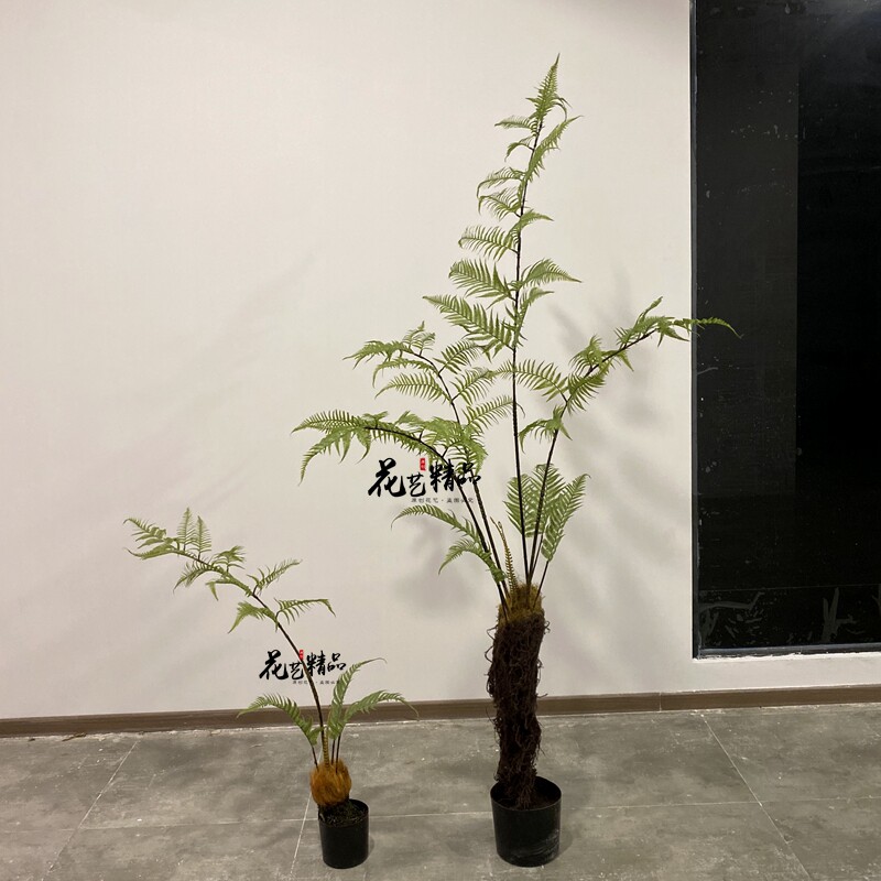 仿真金毛猴蕨狗蕨树大型装饰品橱窗造景园林绿化花园禅意摆件植物