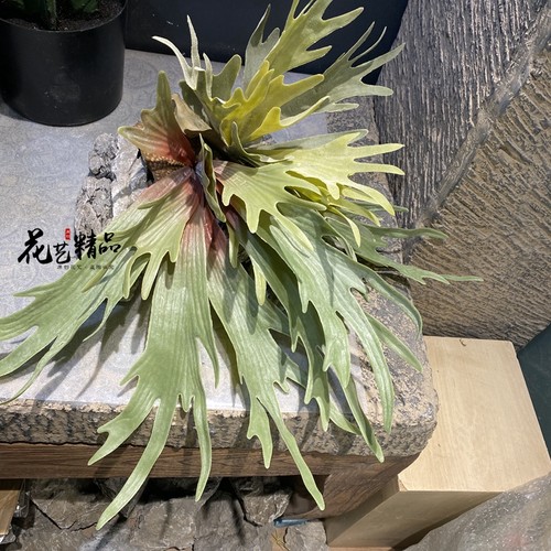 仿真花鹿角蕨空气垂吊软装陈列