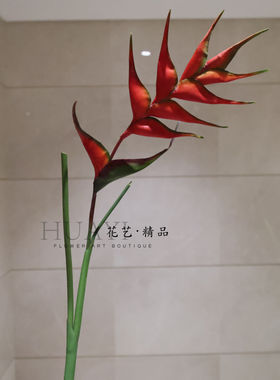 手感保湿红色蝎尾蕉花旅人蕉仿真天堂鸟花单支装饰花艺摆件