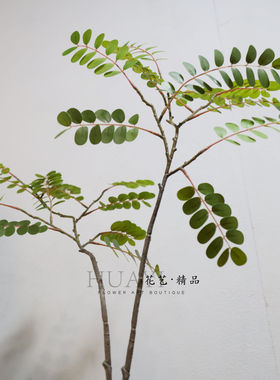 新中式仿真绿植枝条槐花树叶轻盈飘逸室内装饰摆件大树绿叶植物