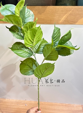 仿真绣球叶创意礼物家居装饰绿色植物叶材室内装饰枝条摄影道具