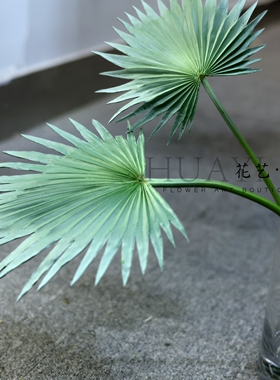 带霜灰绿色棕榈叶仿真蒲葵叶热带大叶插花叶材配饰美陈道具