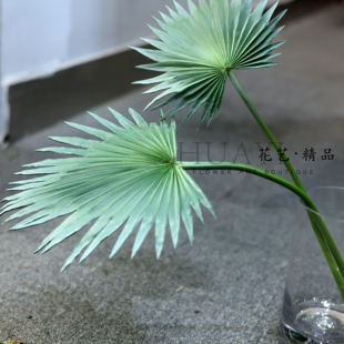 带霜灰绿色棕榈叶仿真蒲葵叶热带大叶插花叶材配饰美陈道具