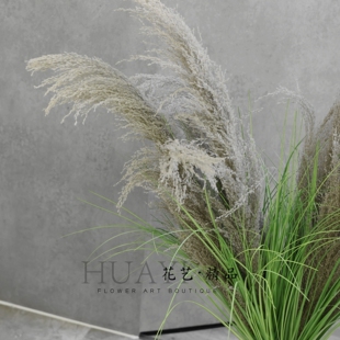 2叉大干芦苇枯草仿真狗尾草造景道具侘寂风干花束拍摄道具