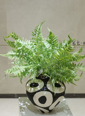 仿真蕨草低饱和度灰绿色带霜波斯草波士顿蕨拍草鱼尾葵草微景观