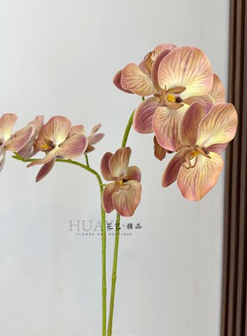 仿真花高品质手感兰花蝴蝶兰婚庆家居装饰花艺插花素材