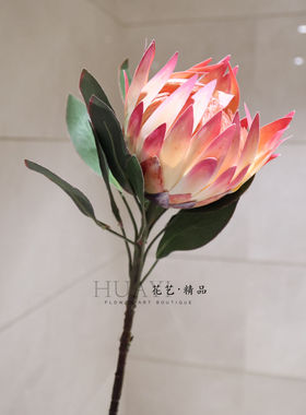 仿真帝王花单支装饰花红色大花朵公主花家居客厅摆件