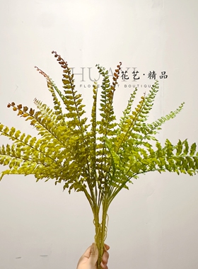 仿真蕨类植物叶子北欧风室内装饰波斯草波士顿蕨肾蕨狼尾草