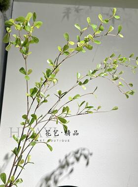 仿真绿植小叶尤加利假花