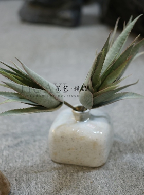 植绒芦荟仿真多肉植物微景观造景创意绿植枯山水园林装饰摆件