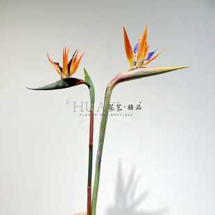 新中式家居样板间装饰设计婚庆摄影手感保湿仿真花鹤望兰天堂鸟