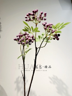 兰草果仿真果实野浆果松+果圣诞树装置假树枝树杈手捧花素材