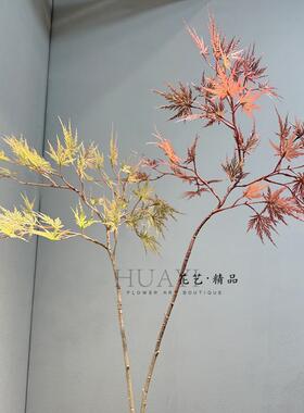 单支造景树枝秋色系枫树叶子
