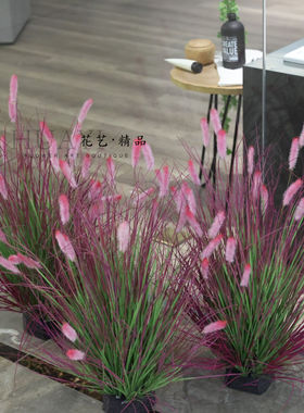 仿真粉紫色芒草芦苇草狗尾草兔尾草室内装饰摆件造景装饰