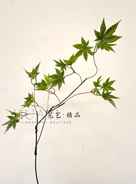 迎客枫绿枫叶鸡爪槭树叶仿真绿植北欧风装饰景观花艺摆件假花植物