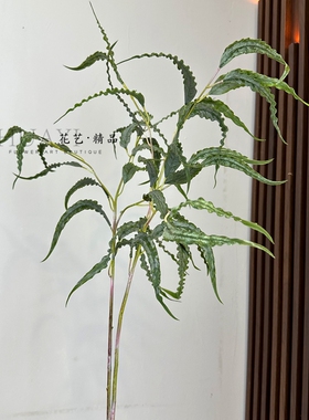 仿真绿植扁草叶水草枝条假花家居装饰摆件假花花艺素材