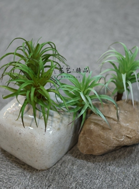 仿真空气草老人须拍摄道具微景观爬宠植物绿植美陈装饰多肉