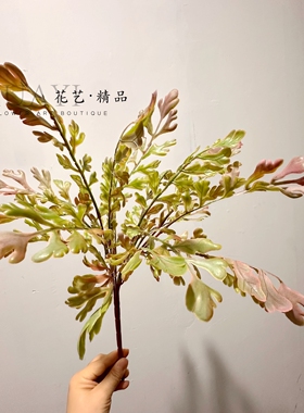渐变粉灰色植株仿真卷蕨秋款叶材拍摄道具淡雅红橡树枝叶栎树叶