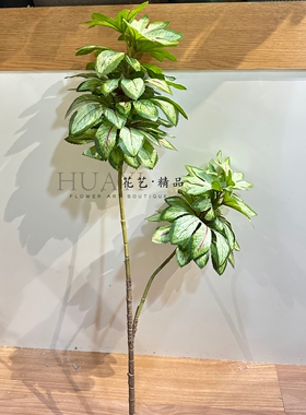 仿真绿植摆件客厅餐厅小众花艺素材木瓜叶八角金盘叶发财树枝叶