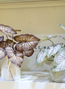 手感保湿彩芋叶造景摆件淡雅彩叶精致热带植物仿真绿植花箱插花