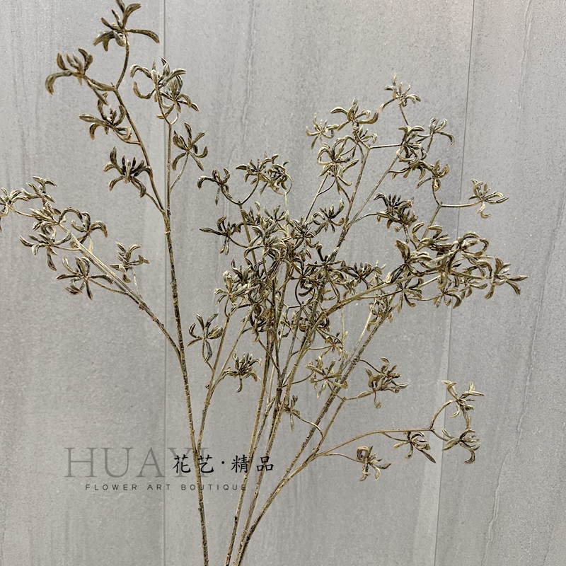 咖色干果壳枝澳洲袋鼠爪仿真花插花素材小众花材线条干支造型枯枝