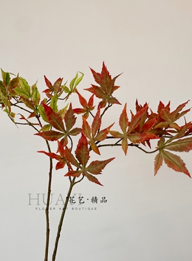 复古款暗红色鸡爪槭迎客枫仿真红枫叶枝条绿枫叶大树装饰树枝插花