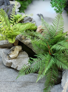 仿真蕨类植物蕨草小铁树绿植盆栽室内装饰摆件自然风格造景