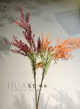 花艺精品千层金天门冬单只