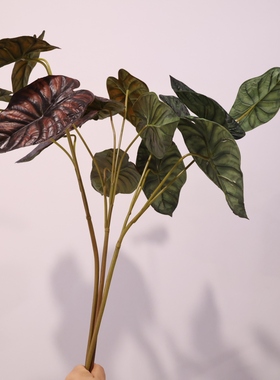 花艺精品仿真绿植海芋龙鳞芋叶麒麟叶盆栽植物家居插花造景美陈