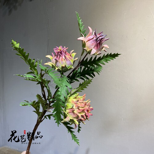 高品质仿真凤梨头蓟花多肉植物