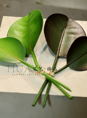 2片组合大叶子琴叶榕仿真植物插花配叶热带植物春雨叶雨林缸榕叶